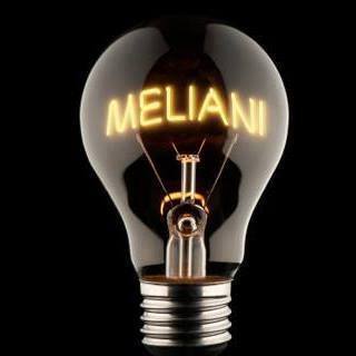 Mostafa MELIANI