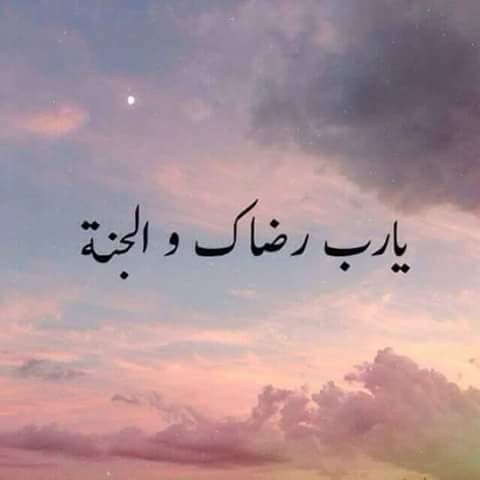 Amal AIT ELMAALEM