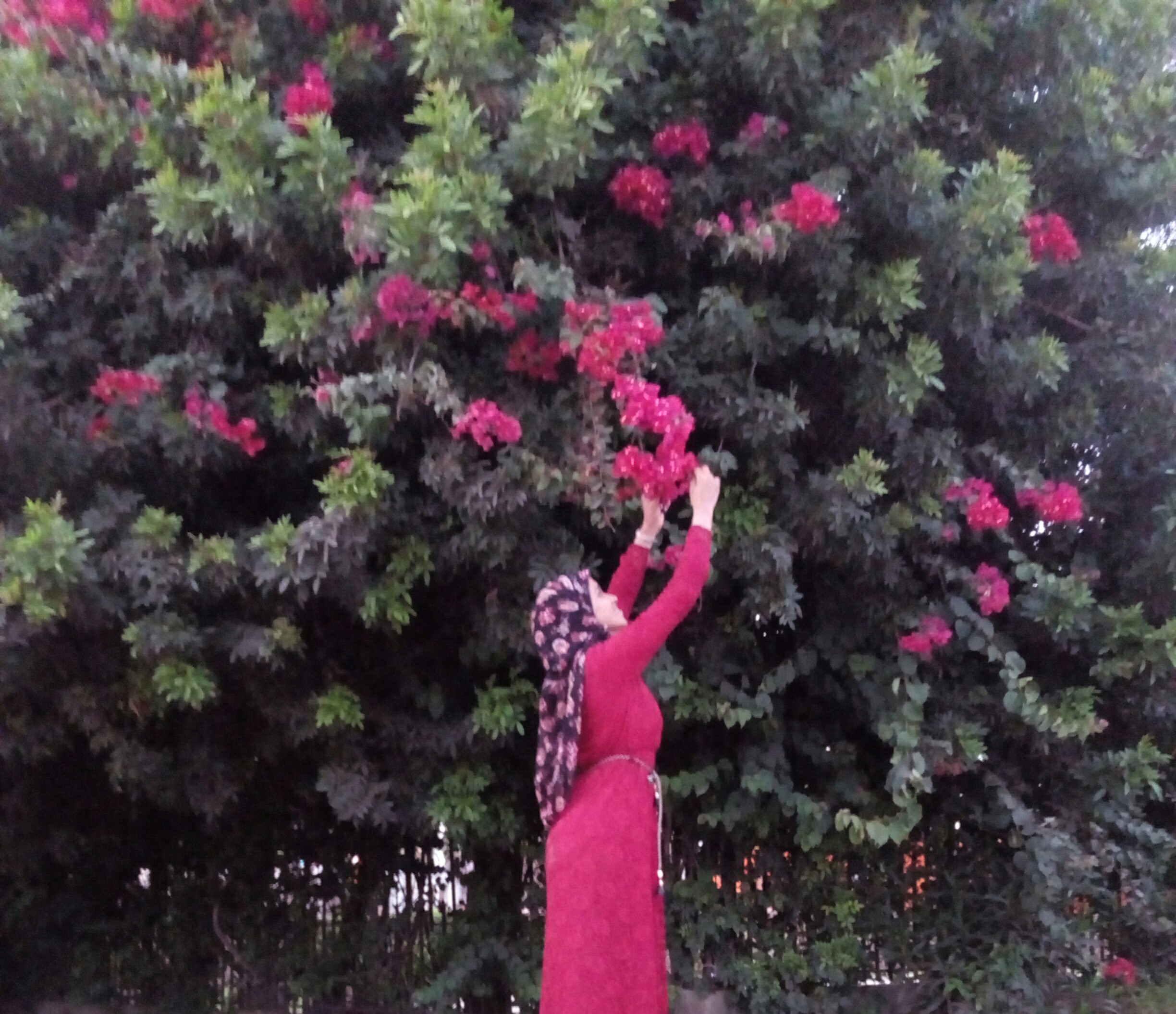 Hanan ENNAJEM