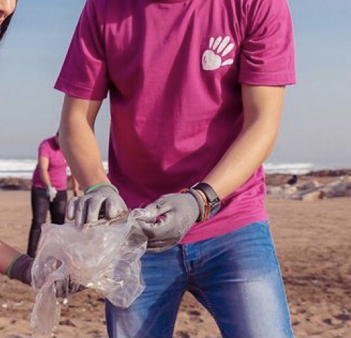 Oussama A Brared
