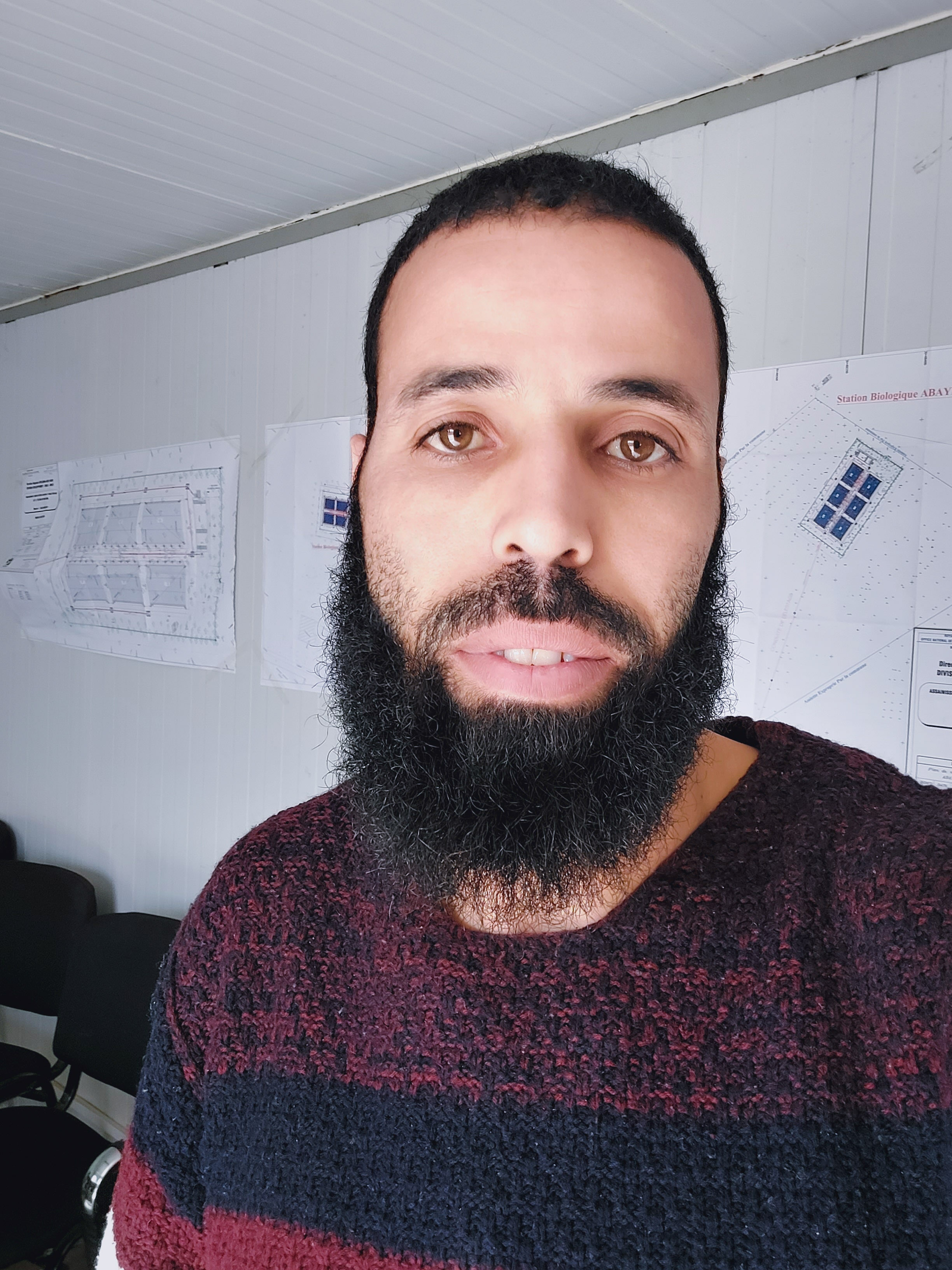 محمد  الخلوفي