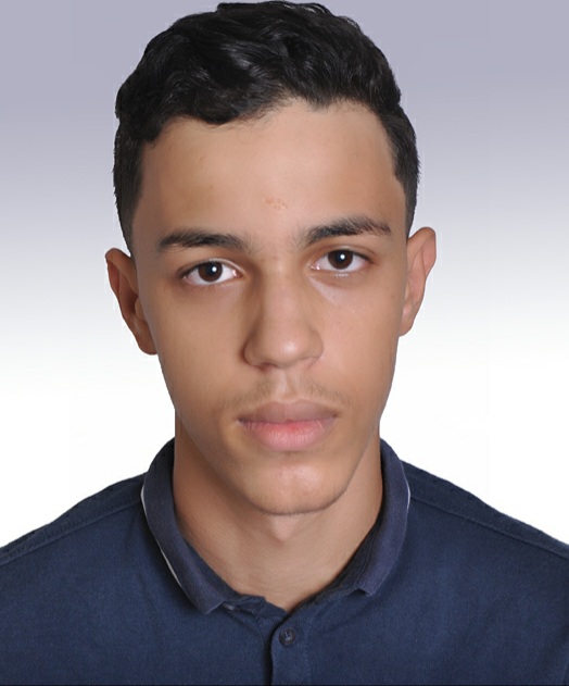 ayoub diyani