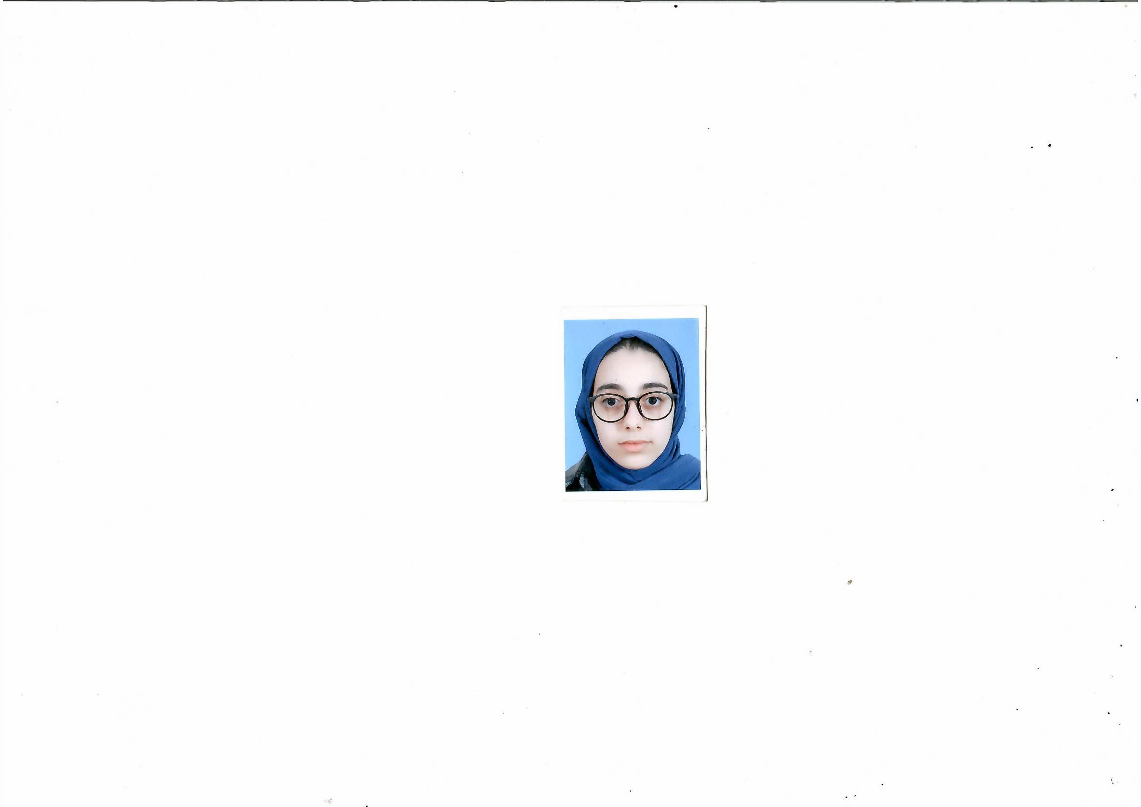 hiba taibi