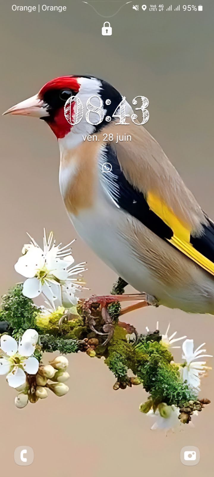 هاجر  المساوي 